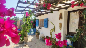 Sweet Old House Marsala